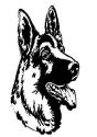 Hundefreundlicher Ferienhof